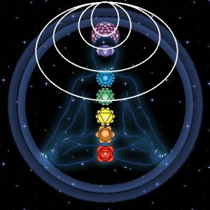 Chakra Inter-SEX-ion 20151130