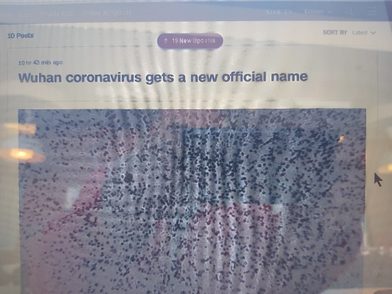 CNN… SINCE YOU REFUSE TO CO-OPERATE ON MY MOBILE EDITION… HERE IS THE WOOF & RAW&nbsp;EDITION